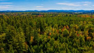 An aerial photo of the Maine woods