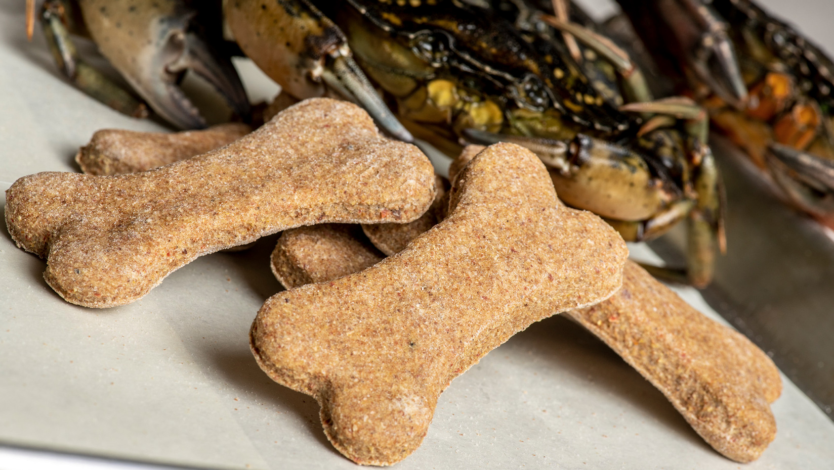 bone shaped dog biscuits