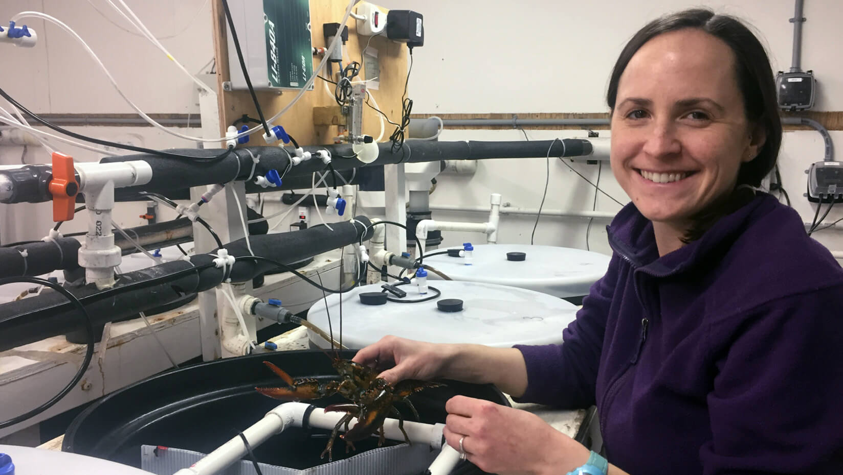 Amalia Harrington working in a lab with lobsters