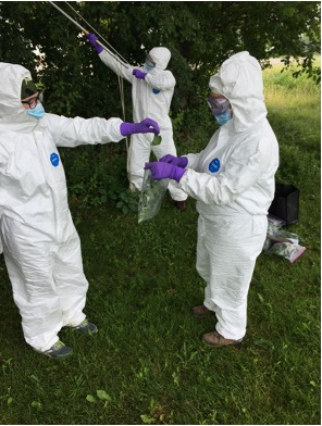 Three people dressed in white biohazard suits stand at a forest edge. One is holding a bag, the other is putting a sample in the bag. The third person in the background is pulling ropes.